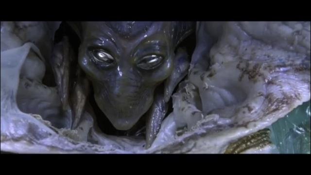 外星文明外貌确定，对地球暂不构成威胁！503 / 作者:○o涅槃旋舞o / 帖子ID:27800