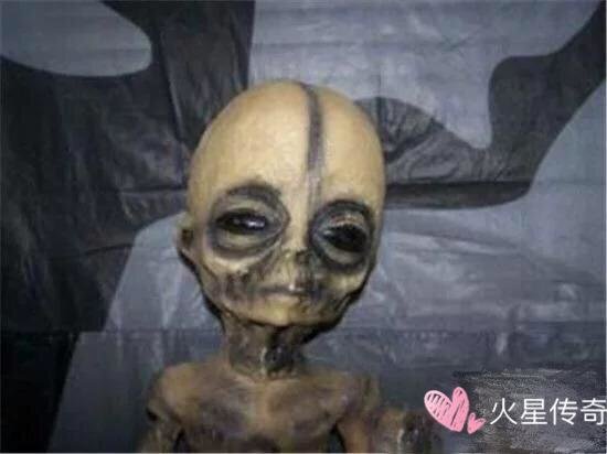外星文明外貌确定，对地球暂不构成威胁！310 / 作者:○o涅槃旋舞o / 帖子ID:27800