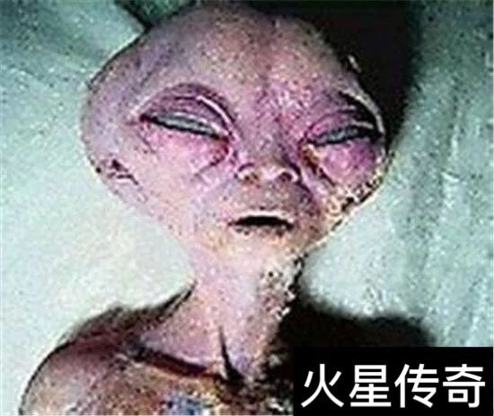 外星文明外貌确定，对地球暂不构成威胁！315 / 作者:○o涅槃旋舞o / 帖子ID:27800
