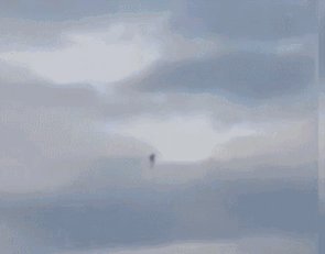 悉尼天空现异形生物！黑色似人形！飘来飘去，是鬼还是外星文明？202 / 作者:另リ問 / 帖子ID:27818