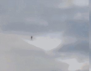 悉尼天空现异形生物！黑色似人形！飘来飘去，是鬼还是外星文明？928 / 作者:另リ問 / 帖子ID:27818