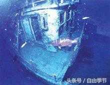 海底人——史前人类的另一分支，可能是栖身于水下的特异外星文明501 / 作者:xiehongpen / 帖子ID:27845
