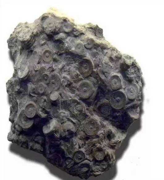 堪察加疑似外星UFO，这里不仅有火山和棕熊，还有地球的小秘密！656 / 作者:one / 帖子ID:27850