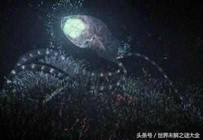 走进史蒂芬霍金的宇宙世界，史蒂芬霍金描述的地外生物是这样838 / 作者:熊大白 / 帖子ID:27852