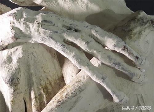 刚出土的千年干尸只有3手指3脚趾，难道真是外星文明？854 / 作者:静风 / 帖子ID:27879