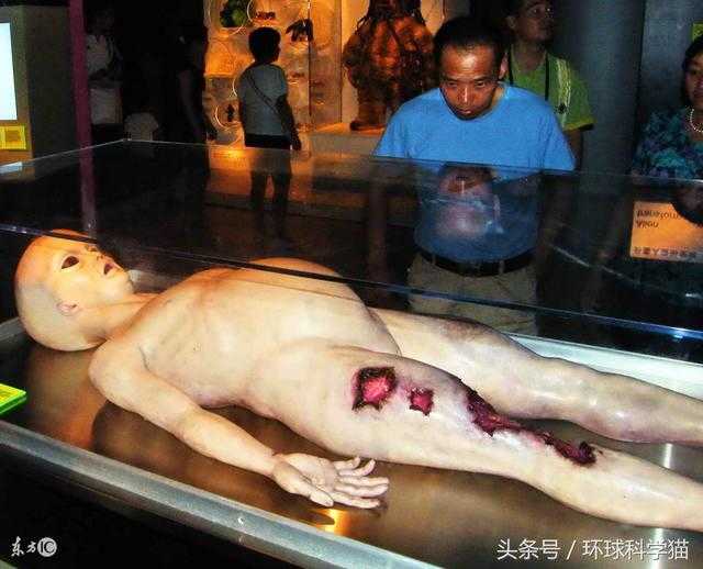 外星文明找到了，科学家：人类130亿年的寻找结果，就在海洋中美国支持451 / 作者:516947478 / 帖子ID:27881