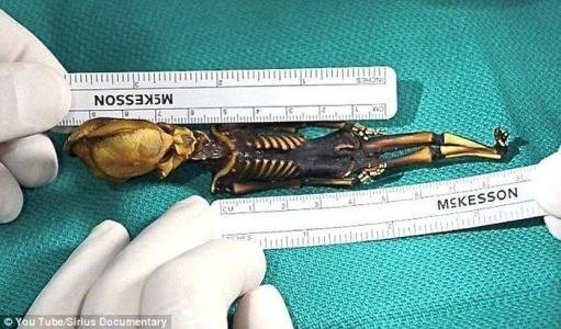 外星文明？远古生物？阿塔卡马现奇异木乃伊328 / 作者:qq1023234136 / 帖子ID:27927