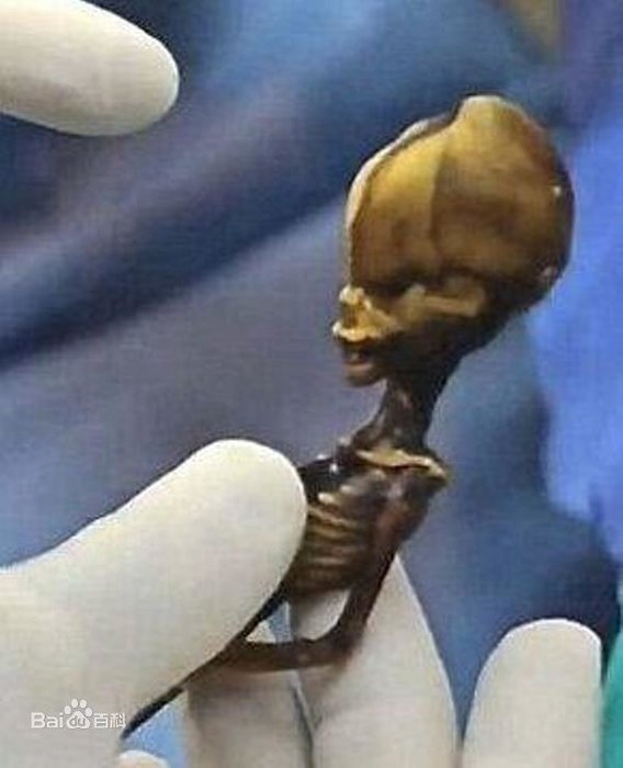 外星文明？远古生物？阿塔卡马现奇异木乃伊881 / 作者:qq1023234136 / 帖子ID:27927