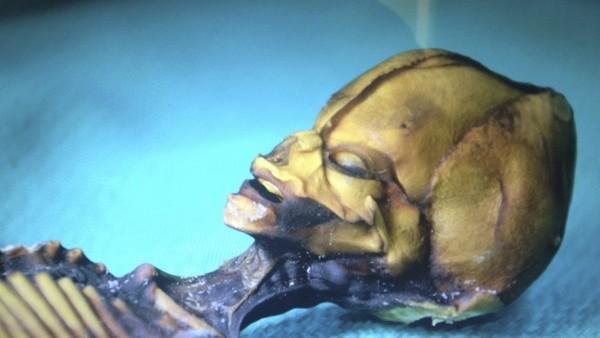 外星文明？远古生物？阿塔卡马现奇异木乃伊357 / 作者:qq1023234136 / 帖子ID:27927