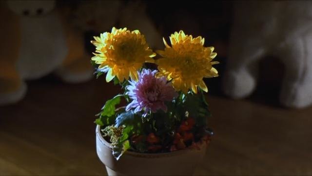 小孩竟然在家里养外星文明，太丧心病狂了！972 / 作者:山东老妖 / 帖子ID:27935