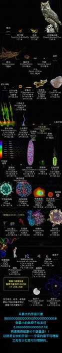 从宇宙最大到宇宙最小221 / 作者:qq1023234136 / 帖子ID:27985