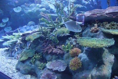 外星文明究竟潜藏在哪里偷看人类？科学家给出了终极答案830 / 作者:775852121 / 帖子ID:27991