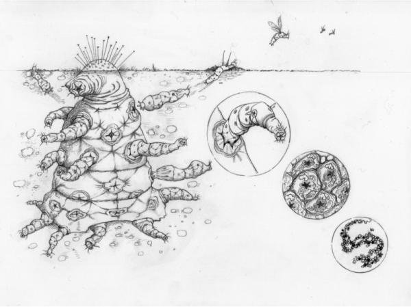 外星文明将是什么样子，科学家告诉你869 / 作者:eseja / 帖子ID:28012