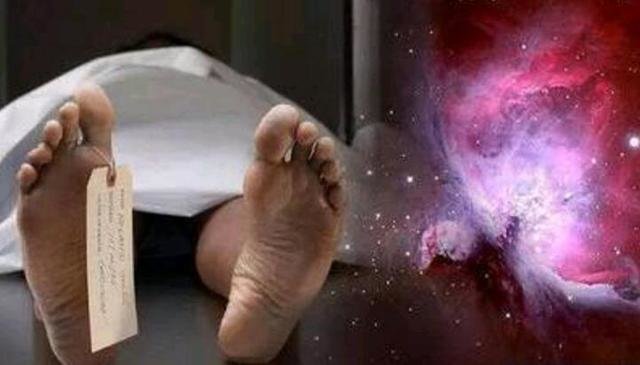宇宙的奇迹：生物死亡后并不会消失425 / 作者:PartinGuitar / 帖子ID:28026