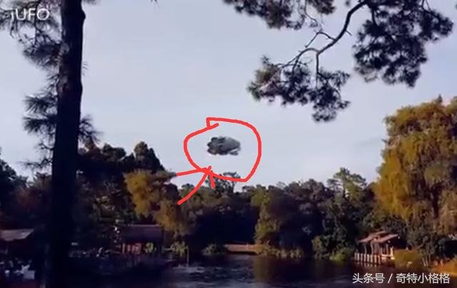 所谓的UFO很多都是一种骗局，你们信了几个？598 / 作者:124479387 / 帖子ID:28089