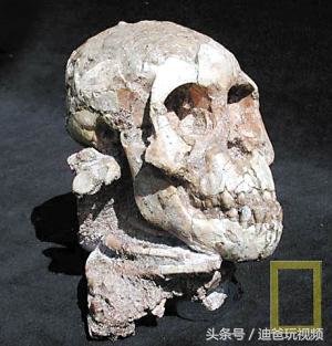 科学家大胆猜测人类是外星文明的后代，这种猜测基本已被证实！46 / 作者:516947478 / 帖子ID:28094