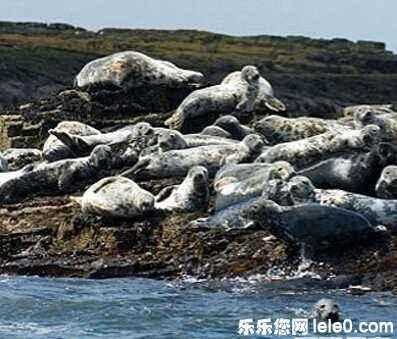 解密：那些被破解的UFO事件真相！罗斯韦尔外星UFO坠毁真假？860 / 作者:圣诞贝贝 / 帖子ID:28119