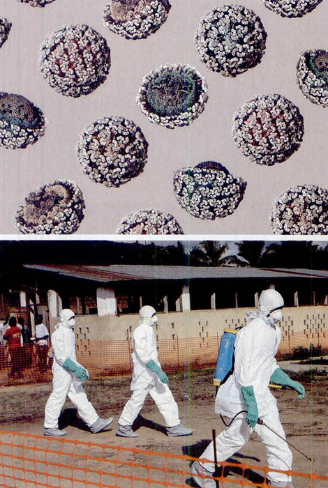 超级流感来袭，人类如何应对下一场瘟疫大爆发？309 / 作者:伤我心太深 / 帖子ID:28146