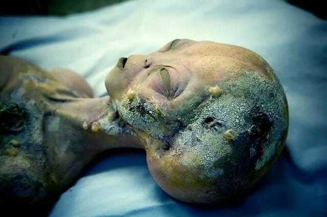 美国最离奇的UFO坠落事件，据传美军隐藏了至少30具外星文明尸321 / 作者:wenhongchen / 帖子ID:28173