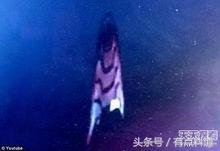 UFO 全记录345 / 作者:揭秘者 / 帖子ID:28196