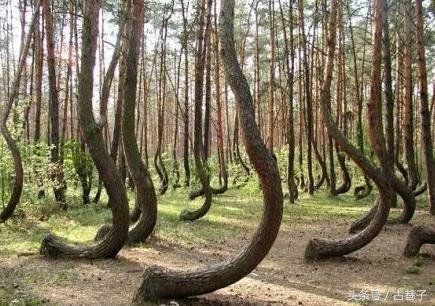 至今无法给出答案的30个未解之谜？716 / 作者:陈明效 / 帖子ID:28336