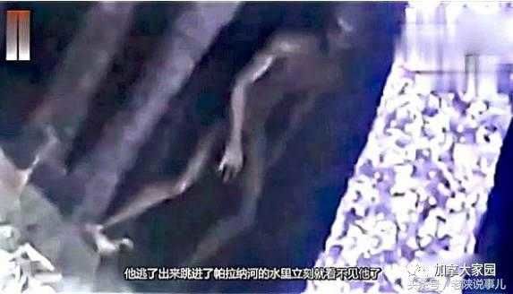 真有外星文明？美国调查UFO计划曝光839 / 作者:lxchel / 帖子ID:28358
