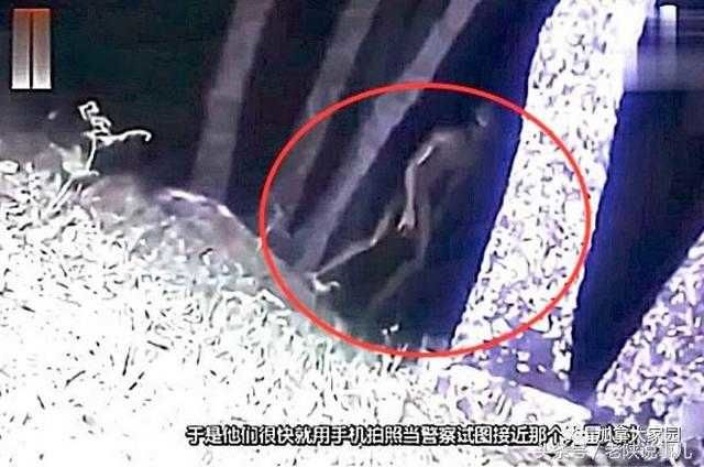 真有外星文明？美国调查UFO计划曝光923 / 作者:lxchel / 帖子ID:28358