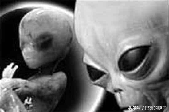 美国再次发现外星文明残骸，外星文明真的登陆地球？611 / 作者:爱是我信仰 / 帖子ID:28447