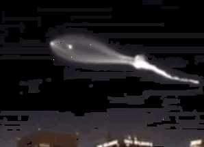 加州数百人称看到UFO! 前官员表示：宇宙中，我们并不孤独230 / 作者:歪丣孬 / 帖子ID:28476