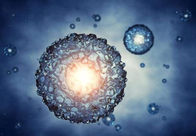 细胞不知自己活在人类体内，地球是否是宇宙顶级文明体内的细胞？806 / 作者:刘兆先 / 帖子ID:28489