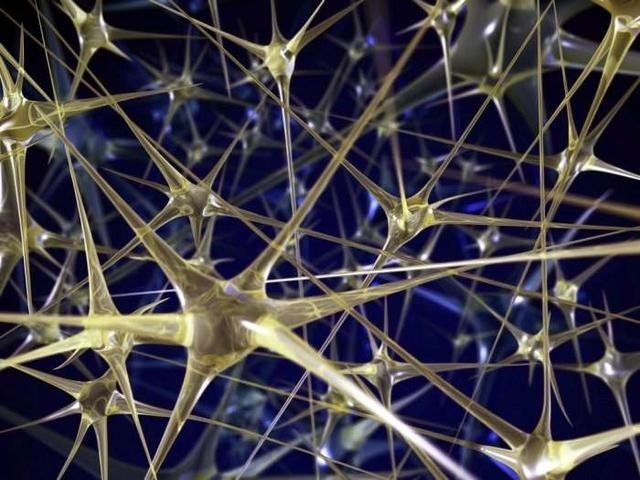 细胞不知自己活在人类体内，地球是否是宇宙顶级文明体内的细胞？345 / 作者:刘兆先 / 帖子ID:28489
