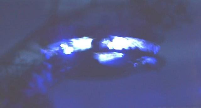 UFO里有灰色外星文明走动的清楚影片引起网络上激烈的讨论935 / 作者:无涯过客 / 帖子ID:28501