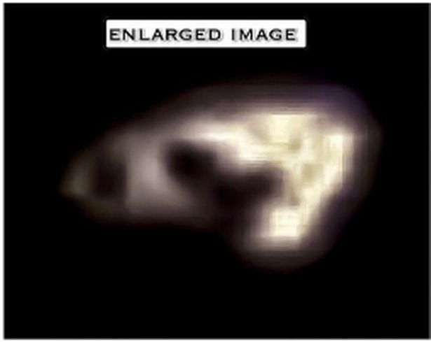 女子遛狗拍下UFO照片 形似宇宙飞船466 / 作者:兔哥 / 帖子ID:28562