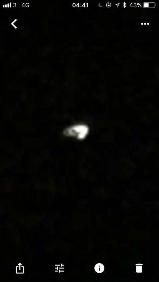女子遛狗拍下UFO照片 形似宇宙飞船705 / 作者:兔哥 / 帖子ID:28562