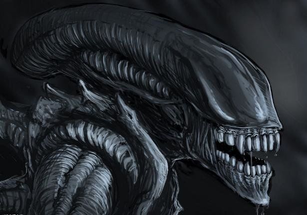 外星文明的模样？外星文明为什么非要长着耳、眼、口、鼻呢？572 / 作者:UFO中文网 / 帖子ID:28576