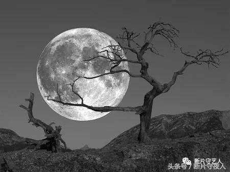 地球真的是外星文明关押人类的监狱吗？814 / 作者:懂得珍惜 / 帖子ID:28637