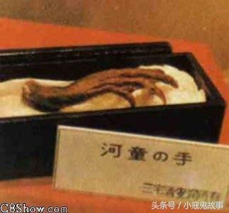 至今没有合理解释的未解之谜，男子也可以怀孕？838 / 作者:韩糖糖 / 帖子ID:28684