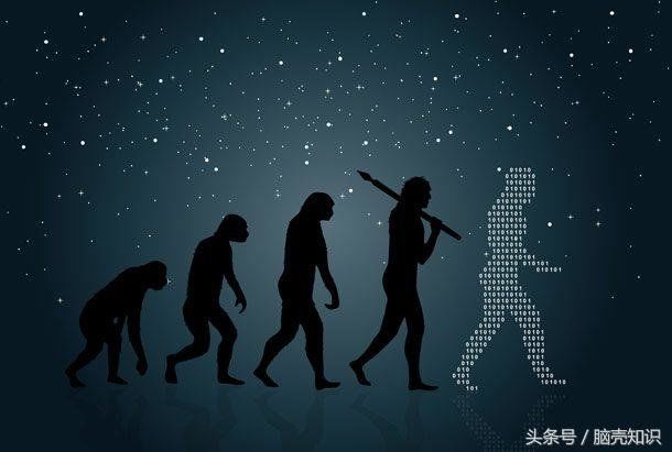 进化过程中的10大未解之谜714 / 作者:紫影 / 帖子ID:28804