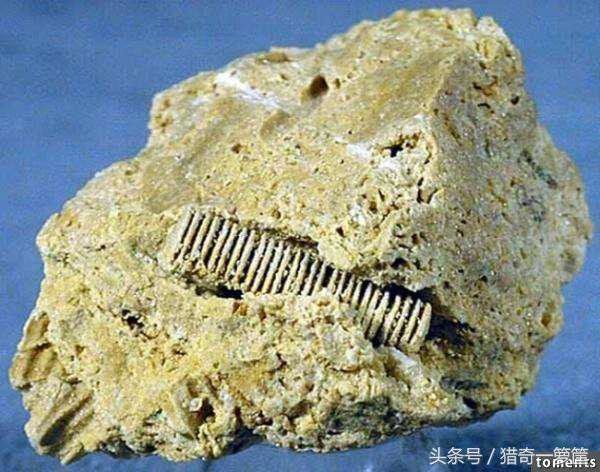 外星文明来地球的证据“三亿年前的螺丝钉”277 / 作者:1548880848 / 帖子ID:28903