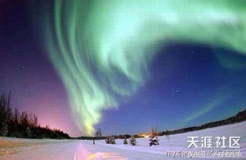 8个未解之谜，至今玄之又玄，你知道吗？92 / 作者:星际忍者 / 帖子ID:29030