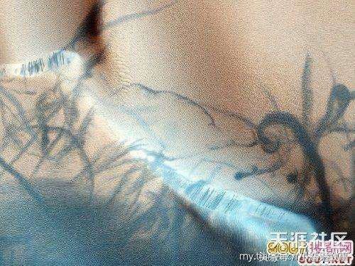 8个未解之谜，至今玄之又玄，你知道吗？141 / 作者:星际忍者 / 帖子ID:29030