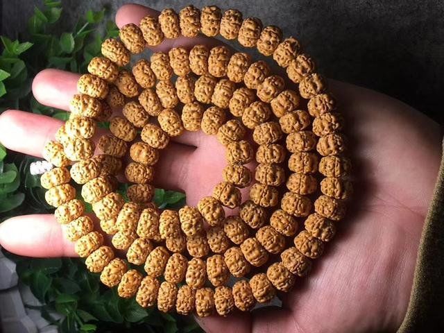 国内金刚中的不明飞行物！顶级五瓣不明飞行物桩双龙小金刚菩提267 / 作者:爱心怪我 / 帖子ID:29065