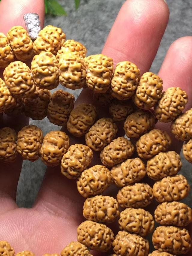国内金刚中的不明飞行物！顶级五瓣不明飞行物桩双龙小金刚菩提486 / 作者:爱心怪我 / 帖子ID:29065