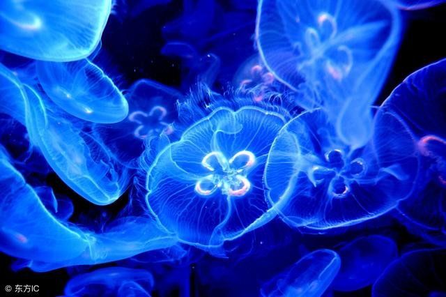 人类没有找到外星文明的十大理论189 / 作者:418721571 / 帖子ID:29106