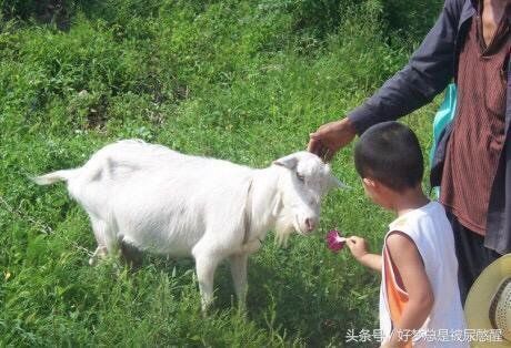 世界上的未解之谜有哪些?373 / 作者:火星网友 / 帖子ID:29199