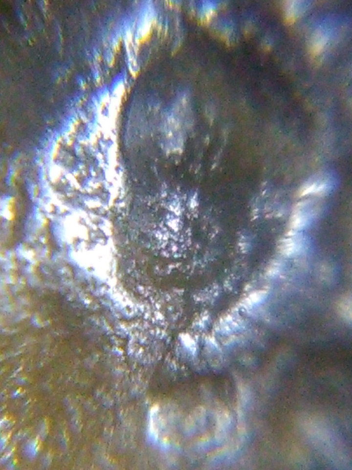 人类的起源真的和外星人有关的真实影像992 / 作者:yuanxukun / 帖子ID:29202