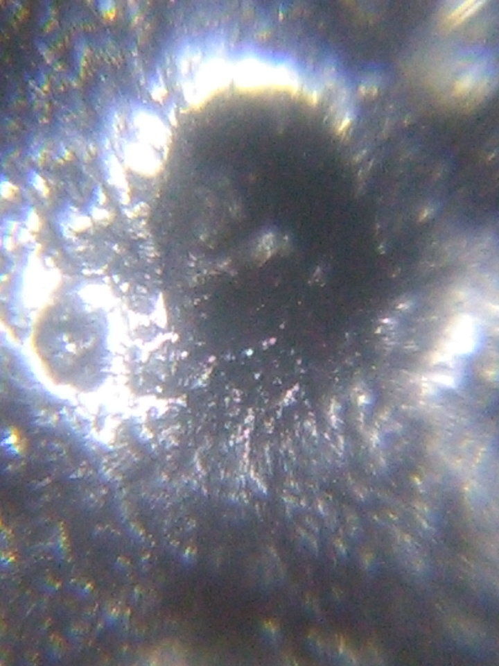 人类的起源真的和外星人有关的真实影像36 / 作者:yuanxukun / 帖子ID:29202