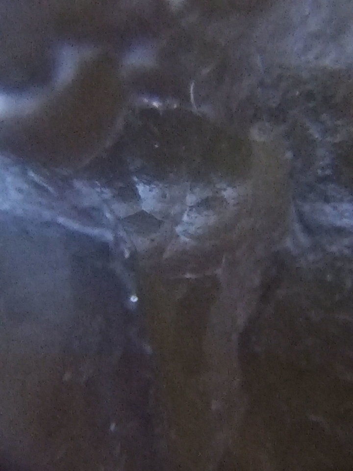 人类的起源真的和外星人有关的真实影像343 / 作者:yuanxukun / 帖子ID:29202