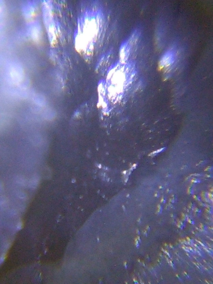 人类的起源真的和外星人有关的真实影像453 / 作者:yuanxukun / 帖子ID:29202