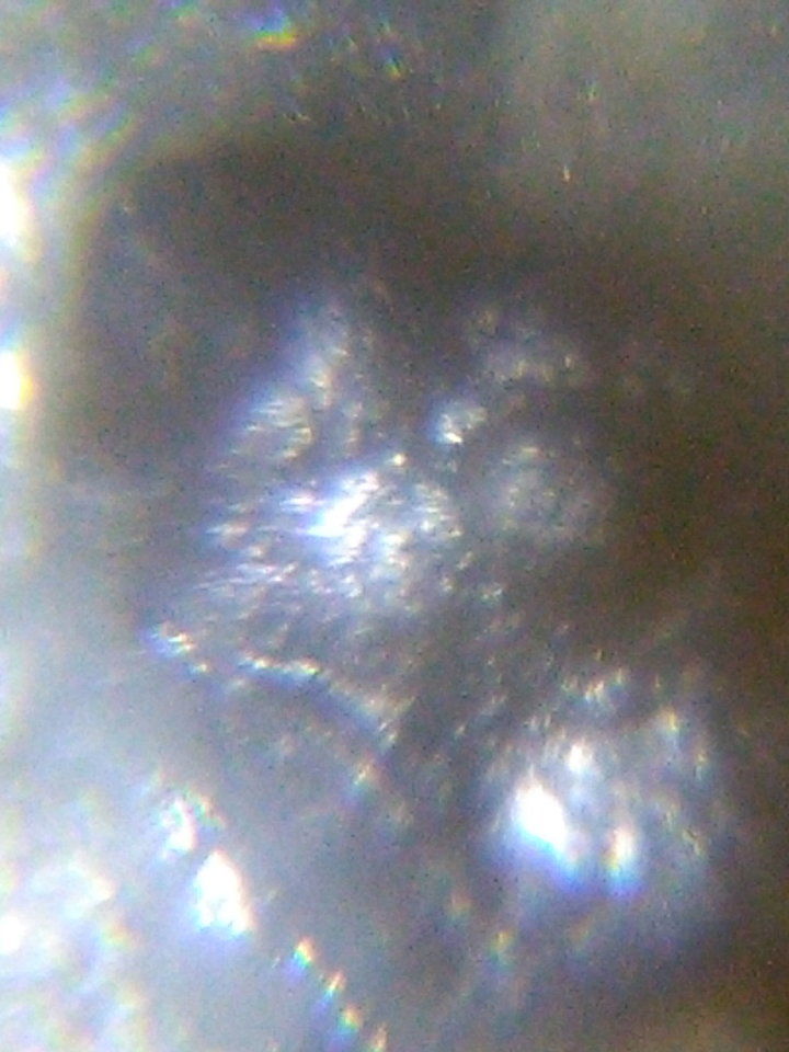 人类的起源真的和外星人有关的真实影像891 / 作者:yuanxukun / 帖子ID:29202